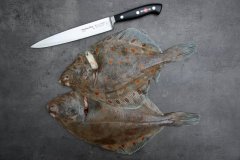 Filetovací nůž Dick  Premier Plus ohebný, kovaný v délce 21 cm