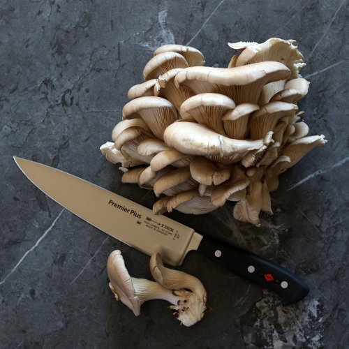 Kuchařský nůž kovaný Premier Plus v délce 28 cm DICK