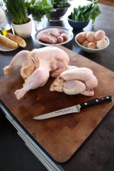 Vykosťovací nůž Premier Plus kovaný v délce 15 cm DICK